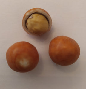Le bonbon au palais - Le Bonbon au Palais